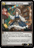 Fluffy Shopkeep - Distorted Reflections - 064 - - NM