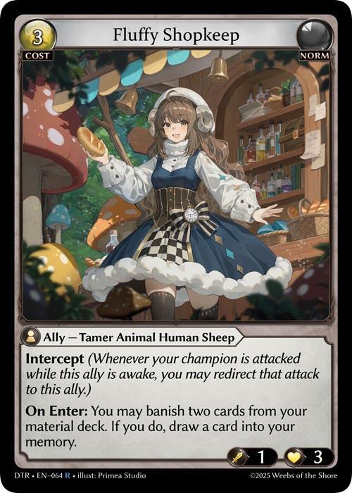 Fluffy Shopkeep - Distorted Reflections - 064 - - NM